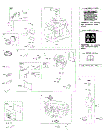 Cam Gear, Crankcase Cover / Sump, Crankshaft, Cylinder, Cylinder Head, Piston / Rings / Connecting Rod parts for Briggs & Stratton Engine 100602-2153-H8 from AppliancePartsPros.com