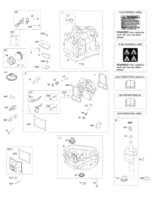 Cam Gear, Crankcase Cover / Sump, Crankshaft, Cylinder, Cylinder Head, Piston / Rings / Connecting Rod parts for Briggs & Stratton Engine 100802-0152-H8 from AppliancePartsPros.com
