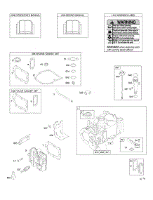 Cylinder, Cylinder Head, Gasket Set - Engine, Gasket Set - Valve, Lubrication, Operator's Manual, Warning Label parts for Briggs & Stratton Engine 10L902-0480-E1 from AppliancePartsPros.com