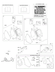 Cylinders, Crankshaft, Engine Gasket Set parts for Briggs & Stratton Engine 110432-0149-E1 from AppliancePartsPros.com