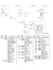 Cylinder, Oil Sensor, Manuals, Labels parts for Briggs & Stratton Engine 245437-0284-E2 from AppliancePartsPros.com