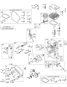 Cam, Crankcase Cover / Sump, Crankshaft, Cylinder, Head / Valves, Kits / Gasket Sets - Engine, Kits / Gasket Sets - Valves, Oil, Piston parts for Briggs & Stratton Engine 250417-0503-01 from AppliancePartsPros.com