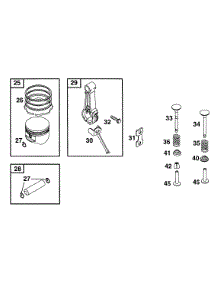 Piston Grp parts for Briggs & Stratton Engine 254427-4006-02 from AppliancePartsPros.com