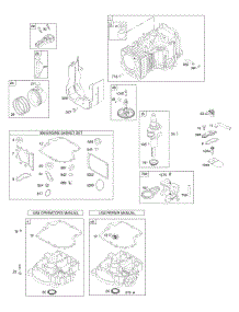 Camshaft, Crankshaft, Cylinder, Engine Sump, Gasket Set - Engine, Piston, Rings, Connecting Rod parts for Briggs & Stratton Engine 284H77-0119-E1 from AppliancePartsPros.com