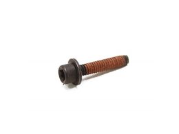 Weedeater Ignition Module Screw