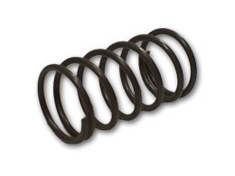 Karcher Pressure Spring