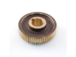Gear-Worm  61T
