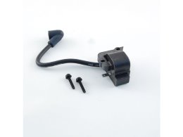 Module Assembly/Ignition Coil