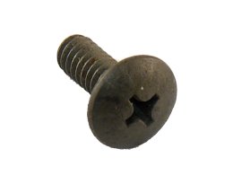 Simplicity Screw